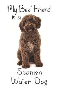My best Friend is a Spanish Water Dog