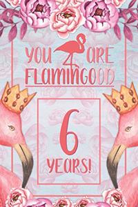 6th Birthday Journal