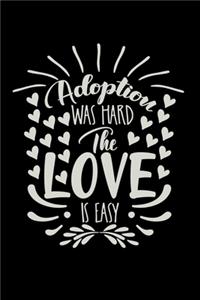 Adoption Was Hard The Love Is Easy