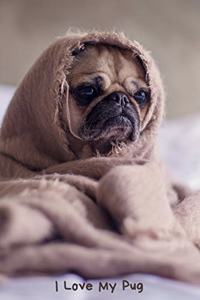 I Love My Pug