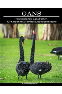 Gans