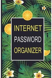 Internet Password Organizer