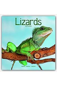 Lizards Calendar 2018