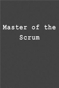 Master of the Scrum