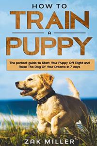 How to Train a Puppy