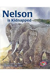 Nelson is Kidnapped PM Level 23 Set A Silver