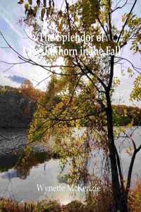 Splendor of Lake Elkhorn in the Fall