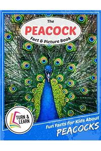 The Peacock Fact and Picture Book: Fun Facts for Kids About Peacocks (Turn and Learn)