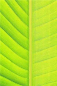 Banana Leaf Notebook