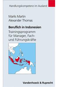 Beruflich in Indonesien