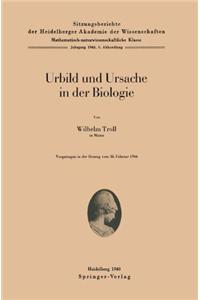 Urbild Und Ursache in Der Biologie