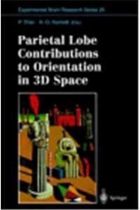 Parietal Lobe Contributions to Orientation in 3D Space