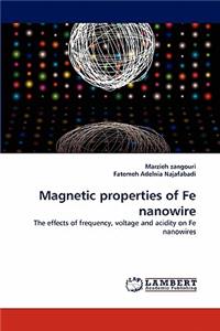 Magnetic Properties of Fe Nanowire