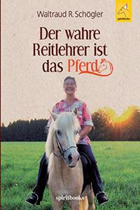 wahre Reitlehrer ist das Pferd