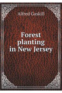 Forest Planting in New Jersey