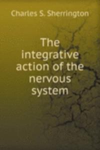 integrative action of the nervous system