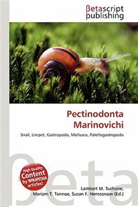Pectinodonta Marinovichi