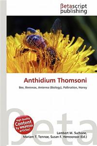 Anthidium Thomsoni