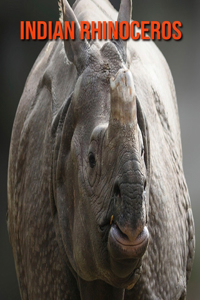 Indian Rhinoceros