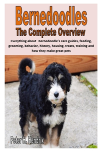 Bernedoodles the Complete Overview