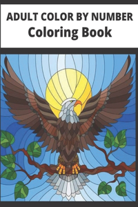 Adult color by number Coloring Book