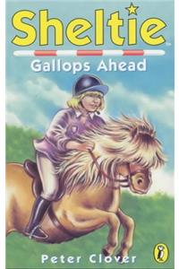 Sheltie Gallops Ahead