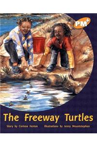 The Freeway Turtles