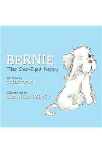 Bernie the One-Eyed Puppy