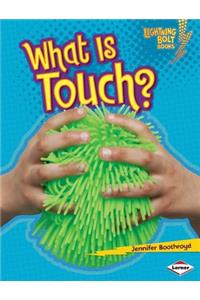 What Is Touch?