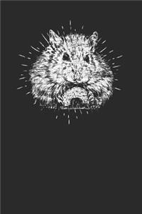 Hamster Drawing