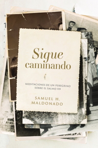 Las Memorias De Un Viajero