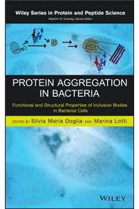 Protein Aggregation in Bacteria