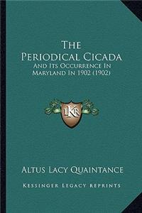 Periodical Cicada