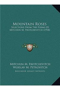 Mountain Roses