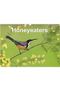 Honeyeaters 2017