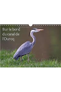 Sur le bord du canal de l'Ourcq 2018