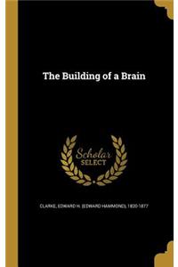 The Building of a Brain