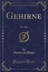 Gehirne: Novellen (Classic Reprint)