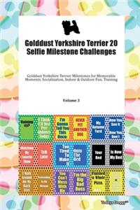 Golddust Yorkshire Terrier 20 Selfie Milestone Challenges Golddust Yorkshire Terrier Milestones for Memorable Moments, Socialization, Indoor & Outdoor Fun, Training Volume 3