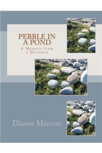 Pebble in a Pond