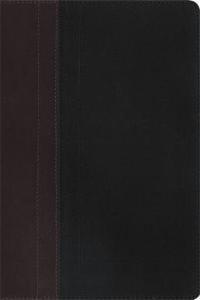 NIV Study Bible Brown/Tan Duo-Tone Personal Size