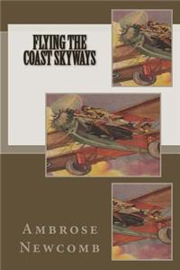 Flying the Coast Skyways