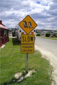 Penguin Caution Sign in New Zealand Journal