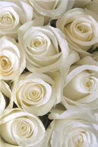 White Roses