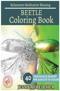 Beetle Coloring Book for Adults Relaxation Meditation Blessing: Sketches Coloring Book 40 Grayscale Images