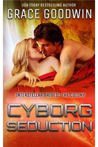 Cyborg Seduction