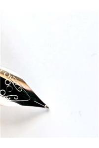 Fountain Pen