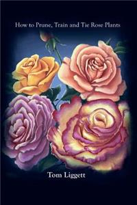 How To Prune, Train and Tie Rose Plants