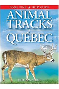 Animal Tracks of Quebec