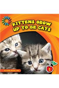 Kittens Grow Up to Be Cats